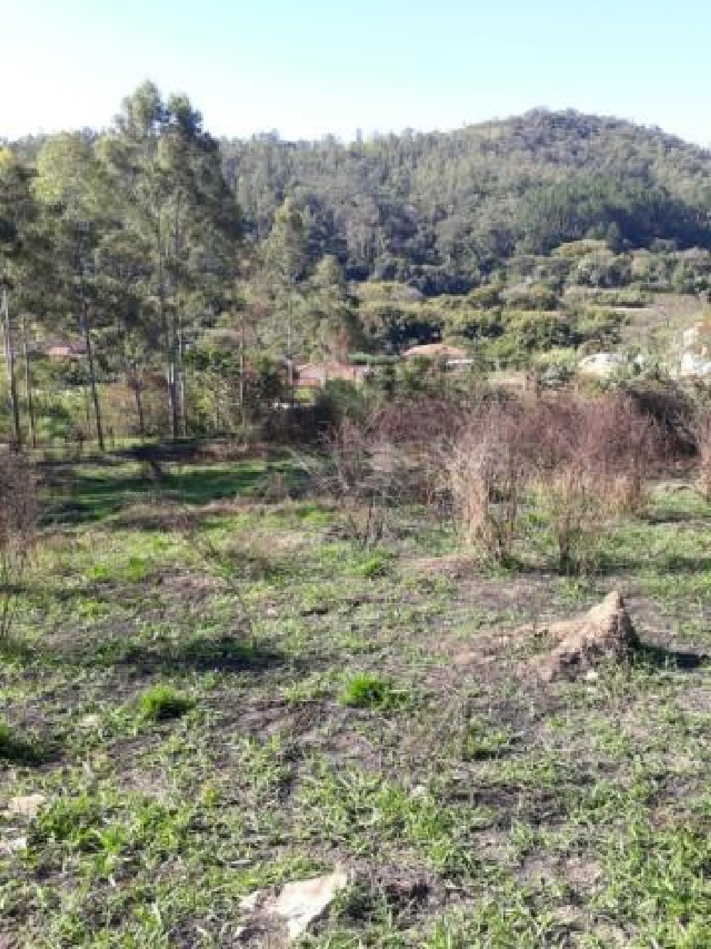 Terreno