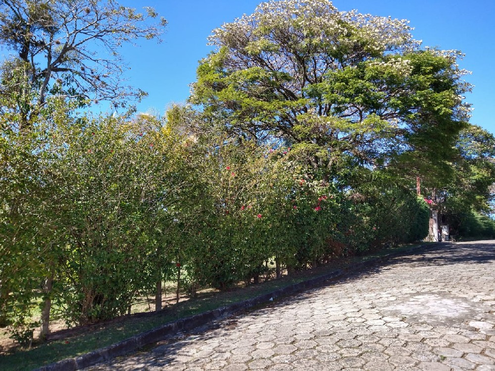 CHÁCARA PARA VENDA EM SERRA NEGRA