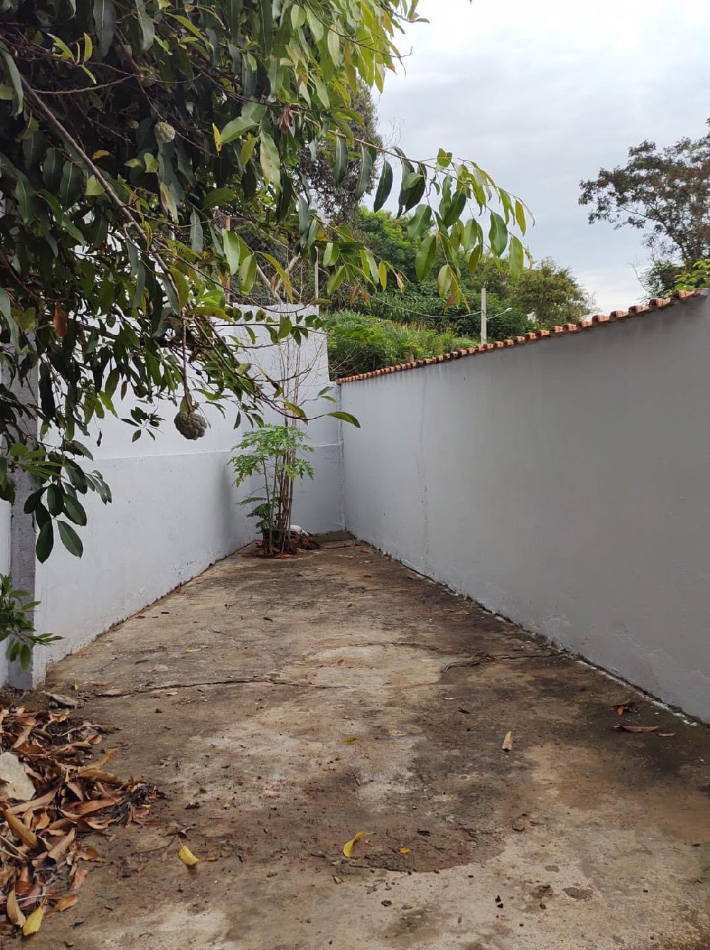 CASA PARA VENDA 