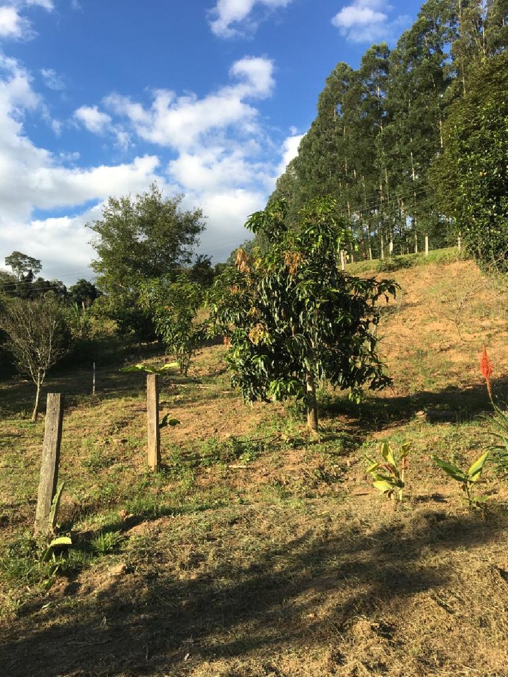 CHÁCARA PARA VENDA