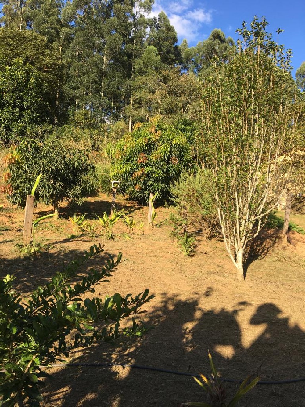 CHÁCARA PARA VENDA