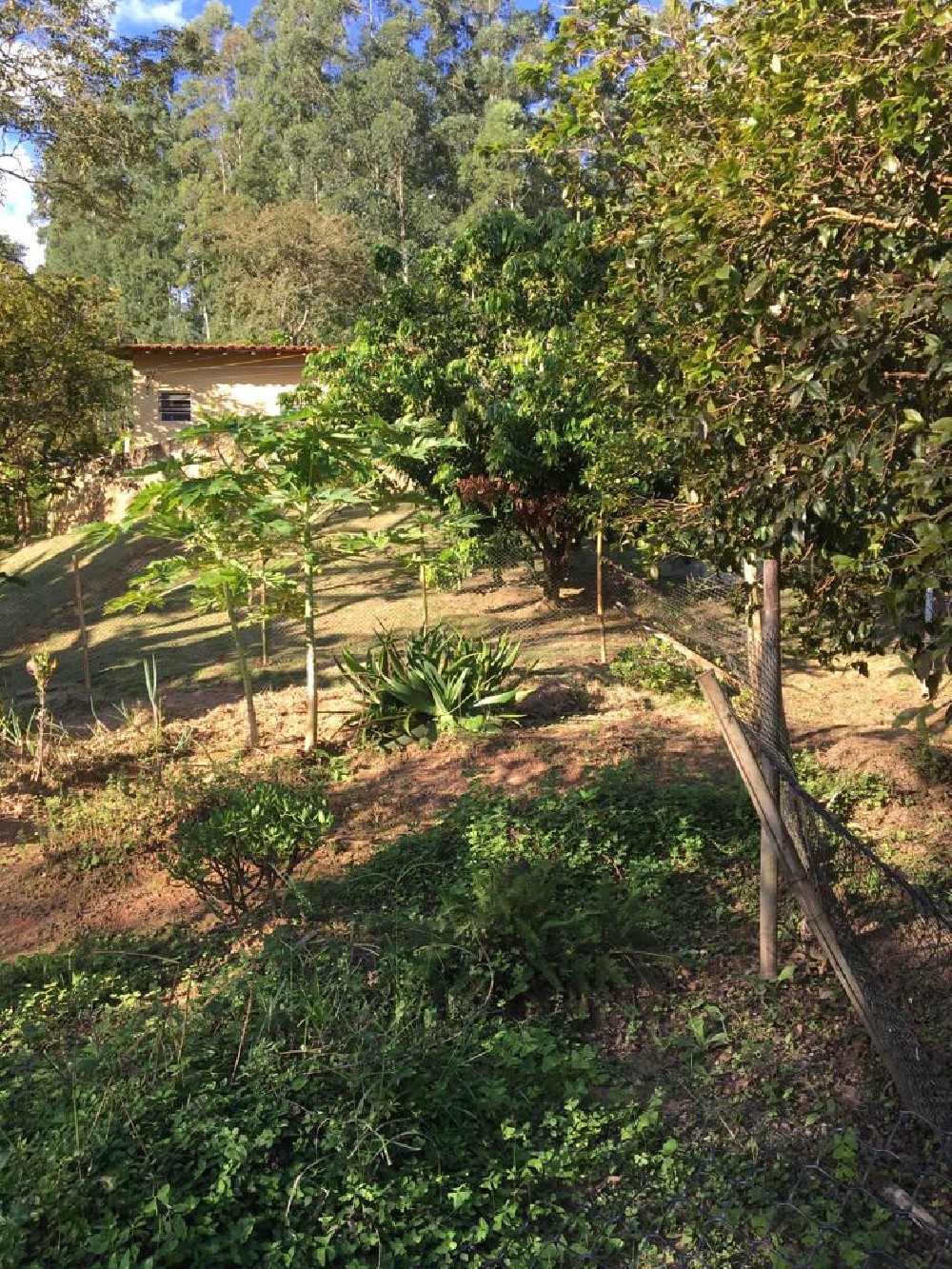 CHÁCARA PARA VENDA