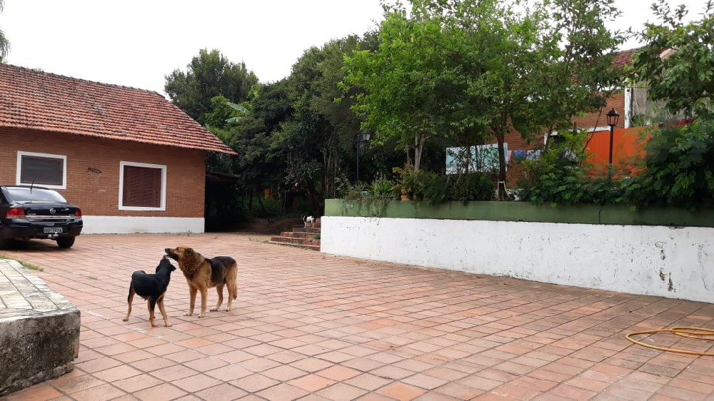 CASA PARA VENDA 